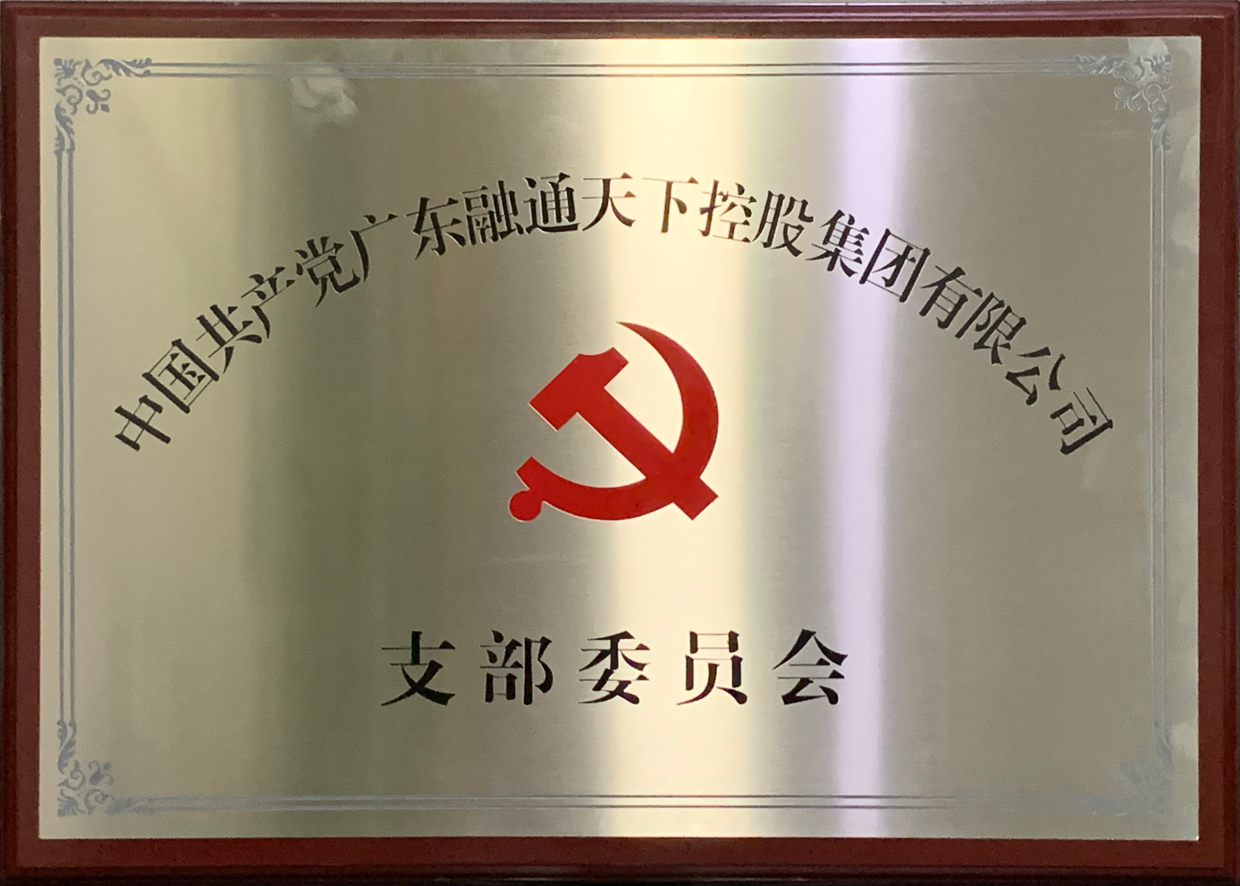 中共广东融通天下控股集团有限公司支部委员会正式挂牌成立